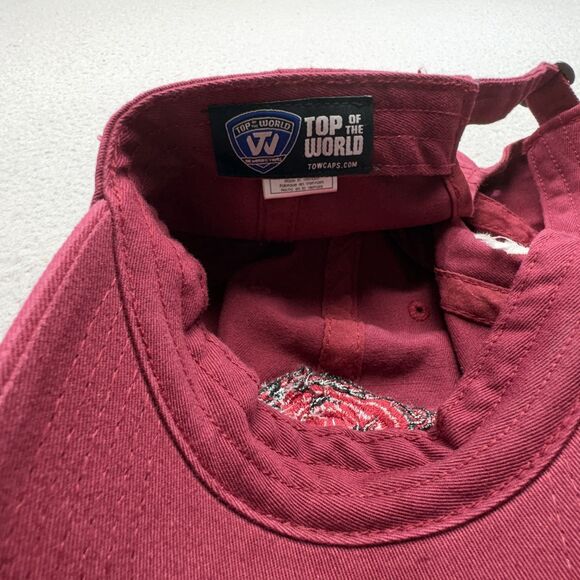 Arkansas Razorbacks Hat Cap Strap Back Mens NCAA Football‎ Top of World - Picture 6 of 8